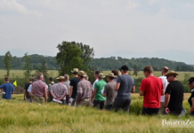 Feldtag am Betrieb Kastenhuber