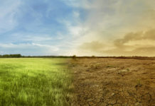 Versuche für die Zukunft Saftig grüne und verdorrte Ackerflächen