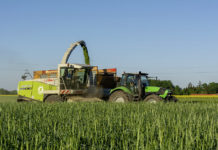 Begrünungsvarianten zur Fütterung nutzen