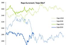 Terminmarkt International – Schwache Rapsernte, Weizen ohne Orientierung, Mais leicht im Plus