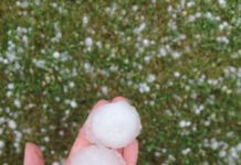 Schwere Hagelschäden in Oberösterreich