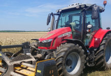 Ein Roter mit guten Genen