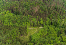 Waldbrandverordnung nun auch im Pinzgau in Kraft