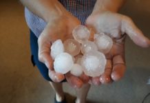 Hagelversicherung: Wieder heftige Unwetter in der Steiermark