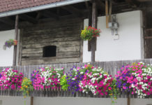 Steirer lieben Blumen Blumenschmuck auf einem Bauernhof
