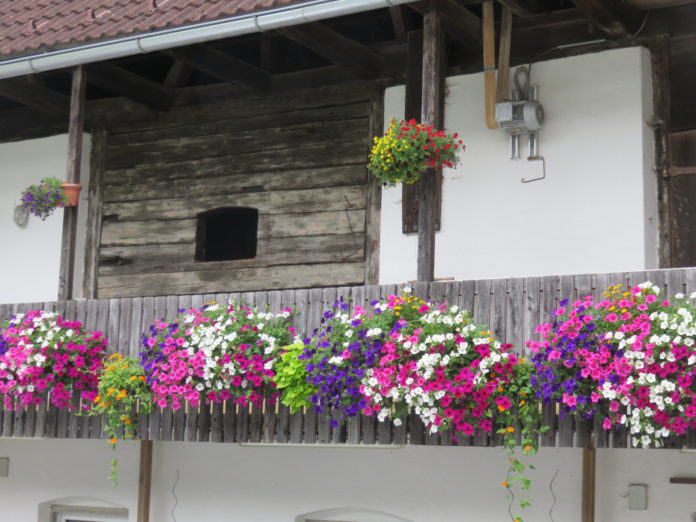 Online öbz Blumen 5 Blumenschmuck auf einem Bauernhof