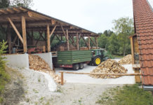 Brennholz aus der Trockenkammer