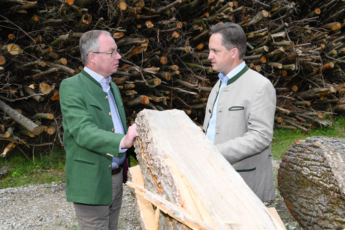 Waldschutz