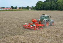 Zwischenfruchtanbau: Spätester Anlagezeitpunkt für Variante 1 und 2 naht