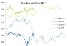 Terminmarkt International – Die Kurse von Raps, Weizen und Mais entwickeln sich eher „durchwachsen”