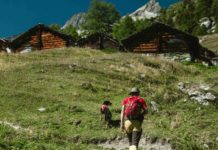 Kuhurteil: Oberlandesgericht entschied auf Teilschuld