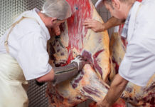 „Bio, das nach der Stalltür weitergeht“