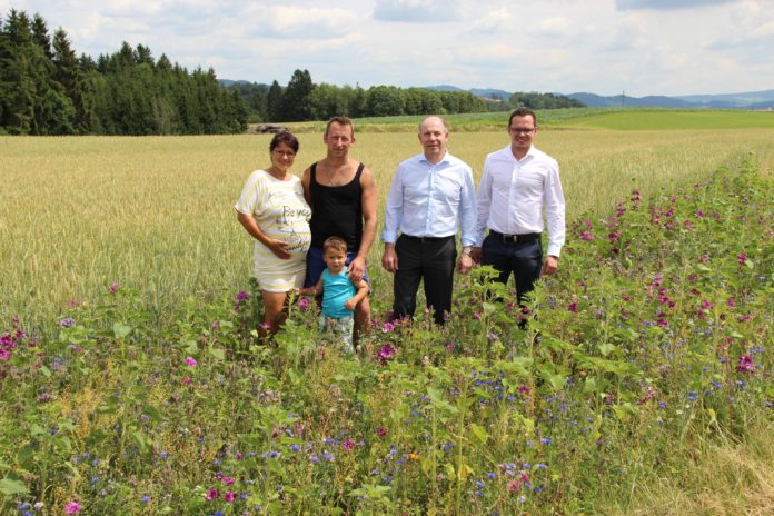 Blühstreifen