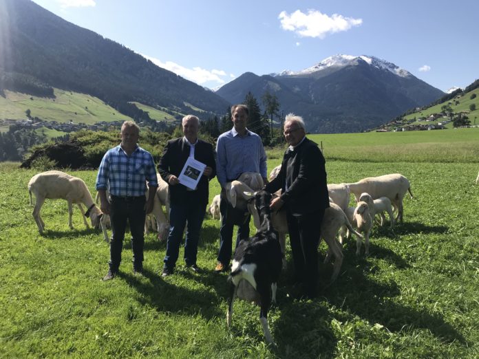 IMG 0338 Sorgen sich um die Zukunft der Almwirtschaft (v. l.): Werner Leitner, Bewirtschafter der Inzinger Alm, Michael Bacher, Obmann des Tiroler Schafzuchtverbandes, Schafzüchter Thomas Wegscheider und Nationalratsabgeordneter und Wolfsgegner Hermann Gahr.