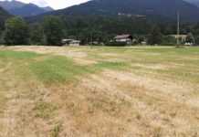 Hagelversicherung: Dürre auch heuer ein heißes Thema