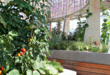 Landwirtschaft mit Aussicht