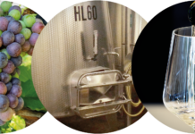 Universitätslehrgang Diplom-Önologie – Top aktuelles Wissen für die Weinwirtschaft