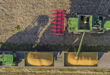 Die Ernteerträge 2019 passen, aber der Ausblick in die Zukunft macht Sorgen