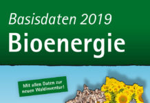 “Basisdaten 2019 Bioenergie Österreich” sind verfügbar
