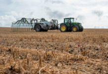 Keine Nährstoffe im Boden, kein Essen am Teller