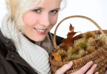 Kastanienanbau: Ein Pilz wütet weltweit Pilzbefall bei Kastanien: Frau hält Korb mit Kastanien