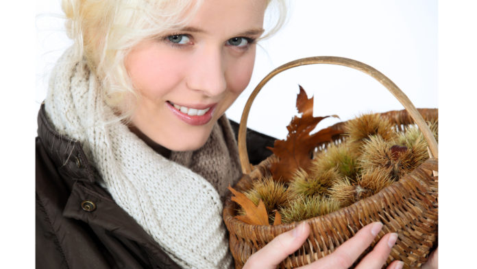 Close Up Of A Woman With Chestnut Basket Pilzbefall bei Kastanien: Frau hält Korb mit Kastanien