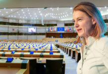 Schmiedtbauers Europablick