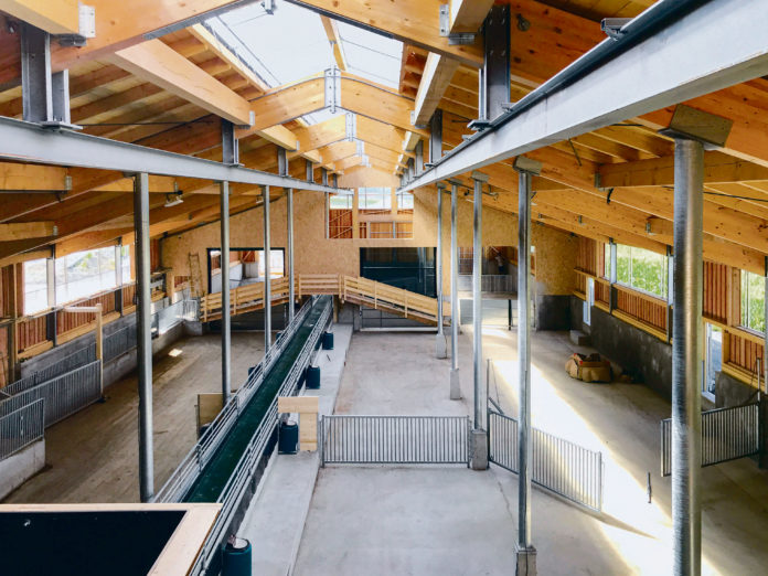 Der neue Ziegenstall