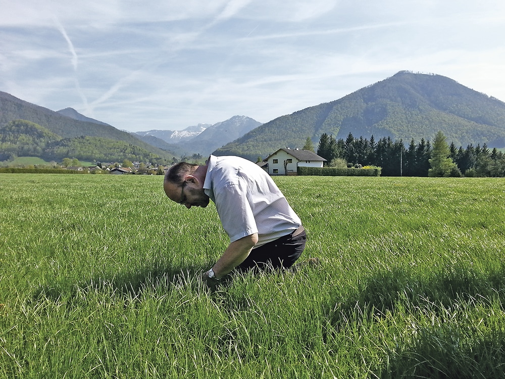 Mit Der Wiese Auf Du