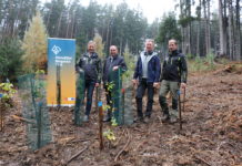Tirol: Klimafitter Wald soll Borkenkäfer trotzen Landesforstdirektor Josef Fuchs, LHStv. Josef Geisler, Hannes Partl, Substanzverwalter der Agrargemeinschaft Lans, und Waldaufseher Georg Kinzner bei einem Pflanzkreis am Lanser Köpfl.