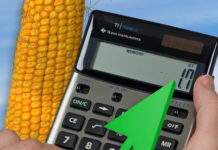 Gesamte landwirtschaftliche Erzeugung in der EU 2018 um 0,6% gestiegen