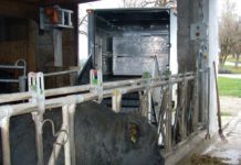 Mobile Schlachtanlage: Pilotprojekt ist gestartet