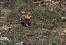 Steigende Schadholzmengen erhöhen die Unfallgefahr bei der Waldarbeit
