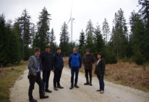 Strasser sieht Potenzial für Windkraft im Wald