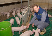 Gut Streitdorf lädt zum „Treffpunkt Börse“ ein