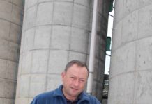 Körnerhirse hat bei mir einen Fixplatz in der Fruchtfolge