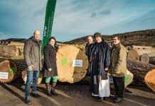 18. Laubholzversteigerung: Eiche weiter im Trend