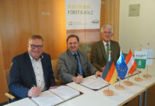 Forst Holz Papier Österreich und Forst & Holz Deutschland veröffentlichen Erklärung zum Grünen Deal