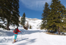 Land&Forst Betriebe: Wintersport mit Verantwortung für Wald und Wild