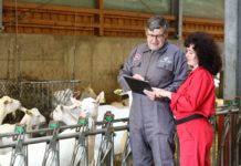 TGD: „Eine Partnerschaft zwischen Landwirten und Tierärzten“