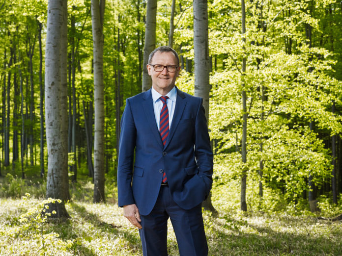 Freidhager Wald C Glassner