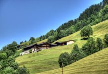 Salzburg: Bauern wählen am Sonntag ihre LK-Vertreter