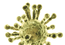 Coronavirus steckt nun auch die Agrarmärkte an