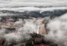 Managementplan für den Umgang mit Kalamitätsflächen vorgestellt