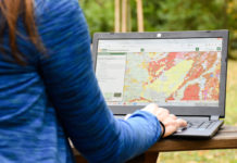 Eine digitale Bodenwelt