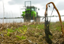 Neue Allzweckwaffe gesucht