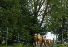 Infos zum rückzahlungsfreien Bio-Ausstieg