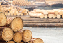 Corona-Krise beeinflusst mittlerweile auch die Holzmärkte