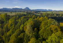 Forstbesitzer appellieren an Waldbesucher