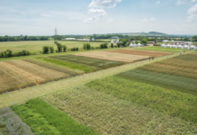 Biofeldtage werden auf den 4. und 5. Juni 2021 verschoben